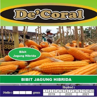 Detail Gambar Bibit Jagung Nomer 22