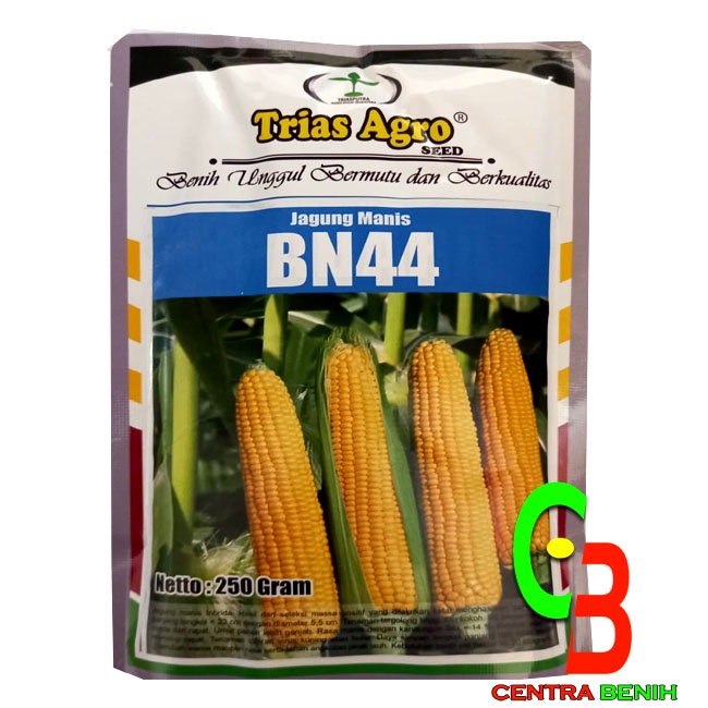 Detail Gambar Bibit Jagung Nomer 30