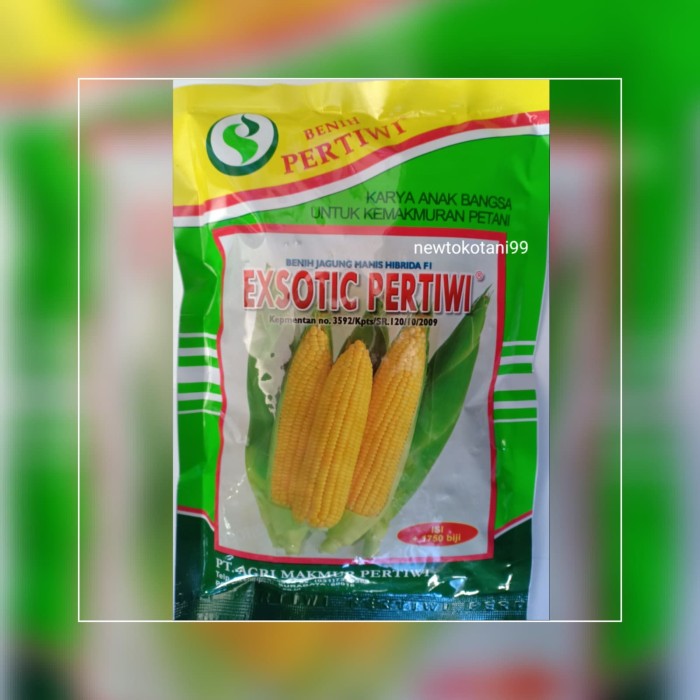 Detail Gambar Bibit Jagung Nomer 41