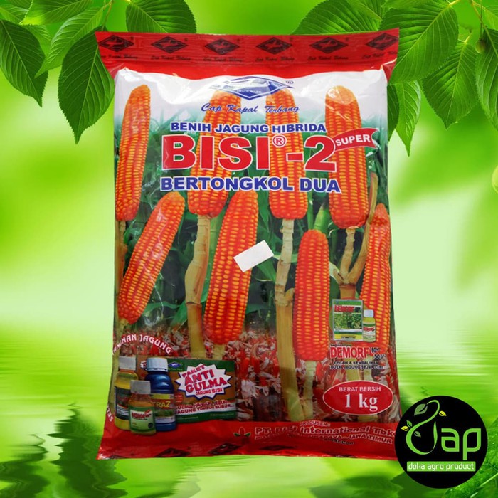 Detail Gambar Bibit Jagung Nomer 44