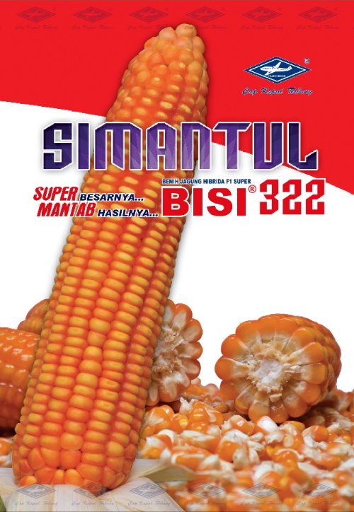 Detail Gambar Bibit Jagung Nomer 46