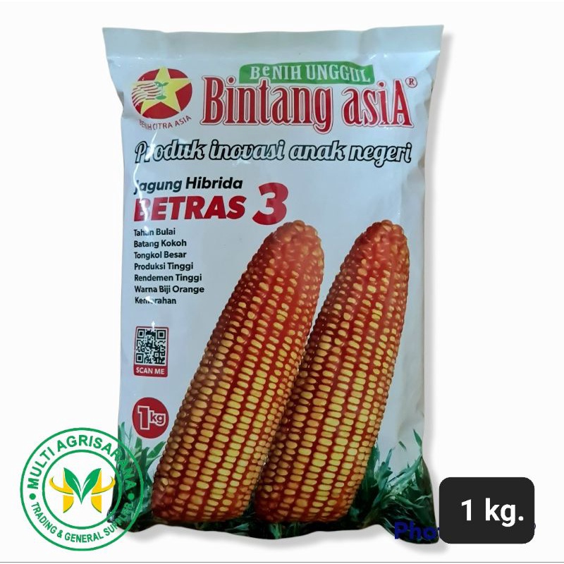 Detail Gambar Bibit Jagung Nomer 50