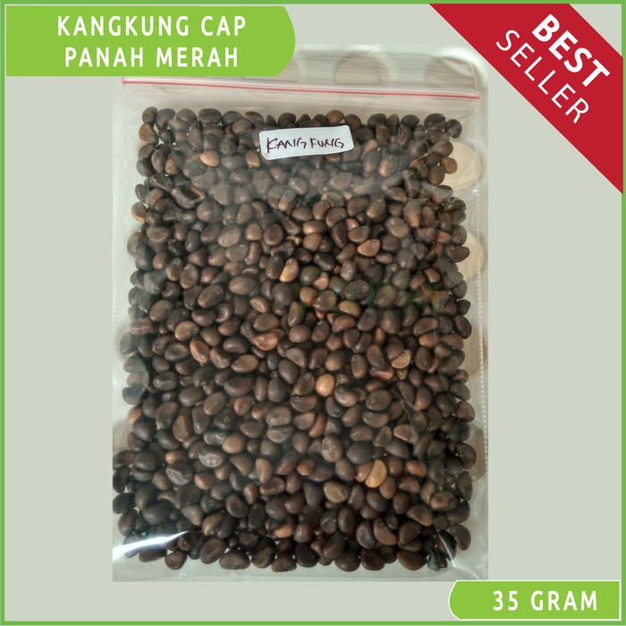 Gambar Bibit Kangkung - KibrisPDR