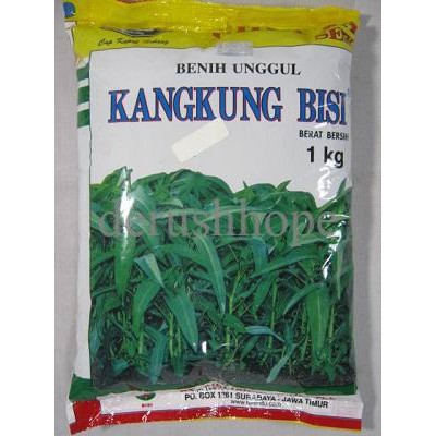 Detail Gambar Bibit Kangkung Nomer 16