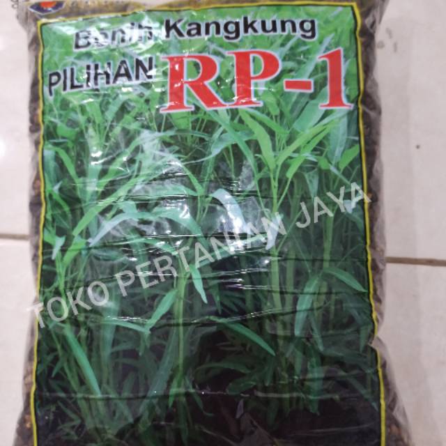 Detail Gambar Bibit Kangkung Nomer 37