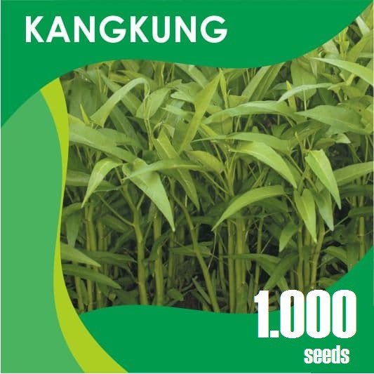 Detail Gambar Bibit Kangkung Nomer 46