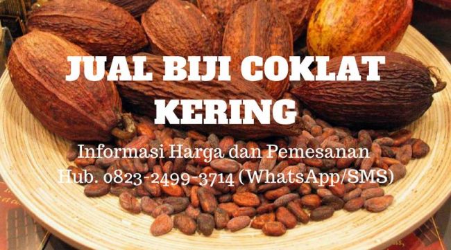 Detail Gambar Biji Coklat Kering Nomer 21