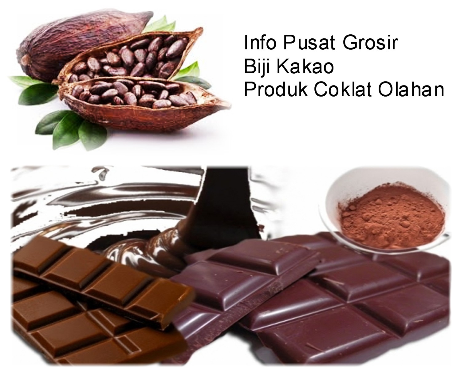 Detail Gambar Biji Coklat Kering Nomer 36