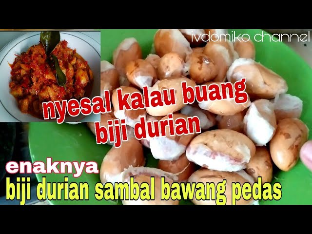 Detail Gambar Biji Durian Nomer 21