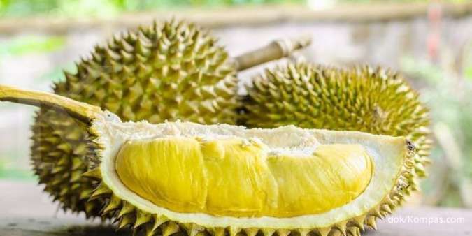 Detail Gambar Biji Durian Nomer 25