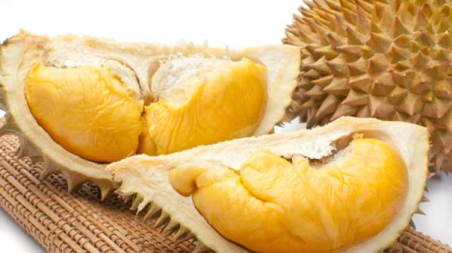 Detail Gambar Biji Durian Nomer 32