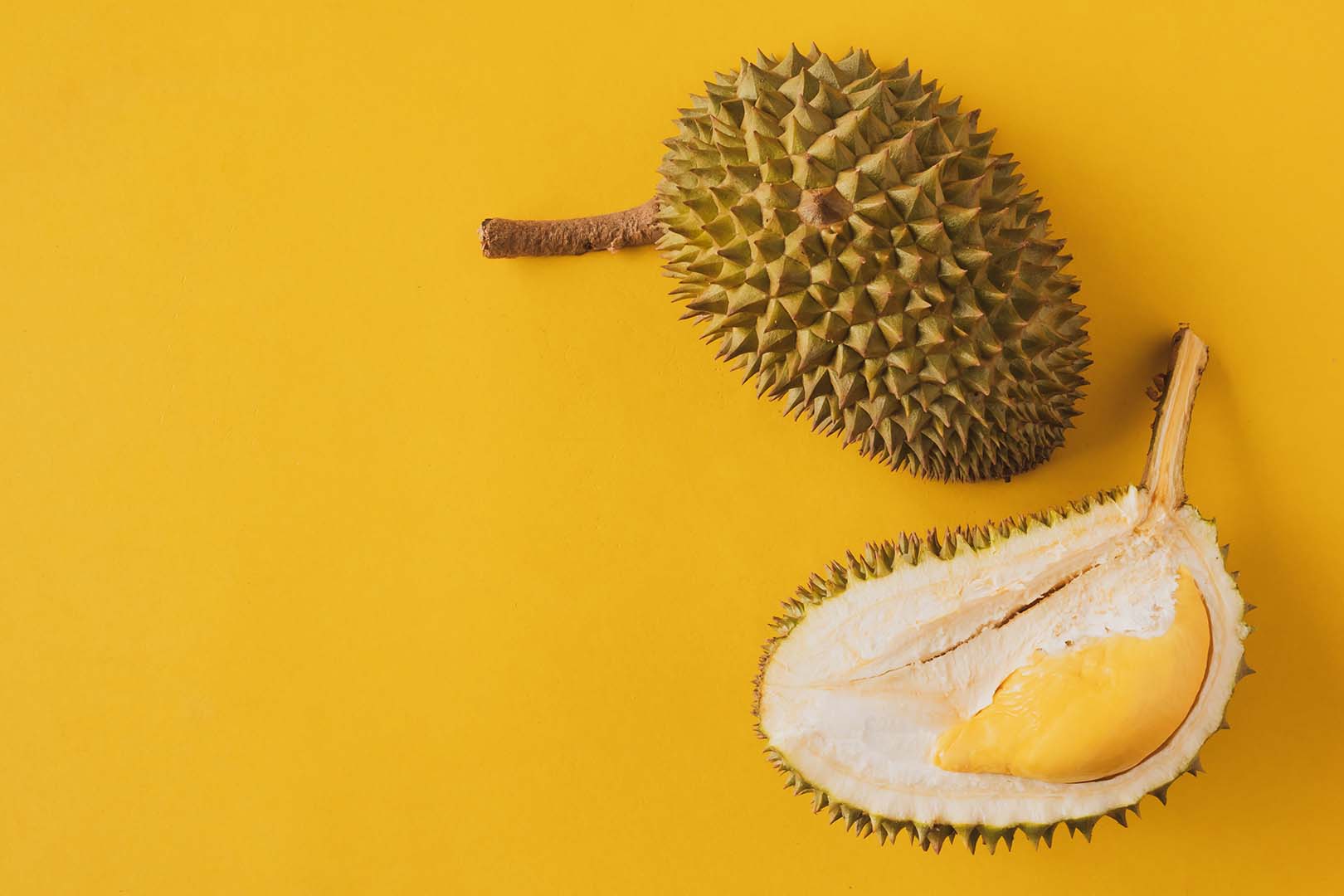 Detail Gambar Biji Durian Nomer 53