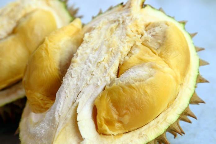 Detail Gambar Biji Durian Nomer 8