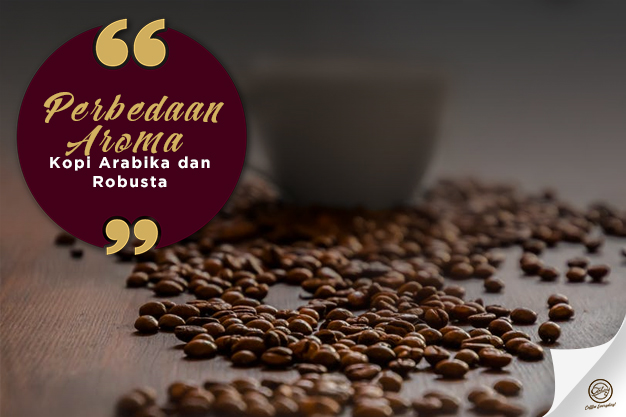 Detail Gambar Biji Kopi Arabica Dan Robusta Hd Nomer 49