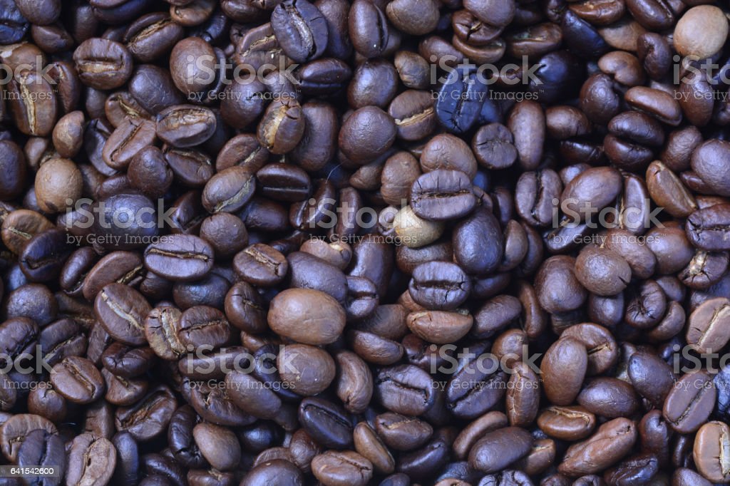 Detail Gambar Biji Kopi Arabika Nomer 30