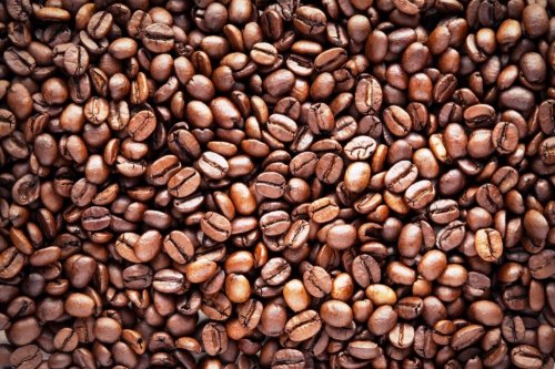 Detail Gambar Biji Kopi Arabika Dan Robusta Hd Nomer 14