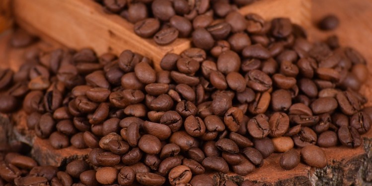 Detail Gambar Biji Kopi Arabika Dan Robusta Hd Nomer 37