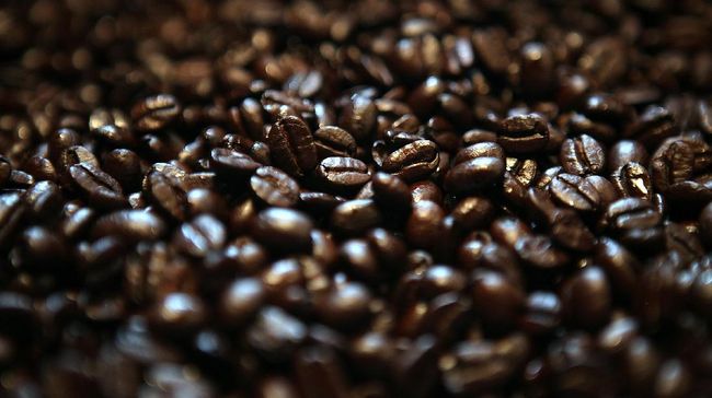 Detail Gambar Biji Kopi Arabika Dan Robusta Hd Nomer 40