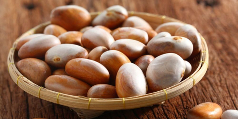 Gambar Biji Nangka - KibrisPDR