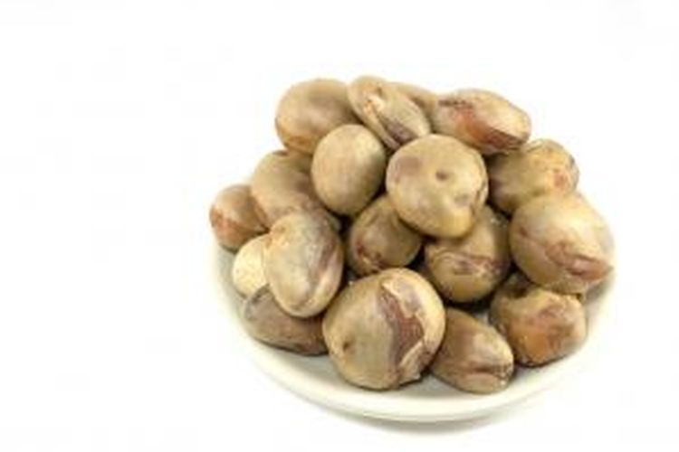 Detail Gambar Biji Nangka Nomer 12