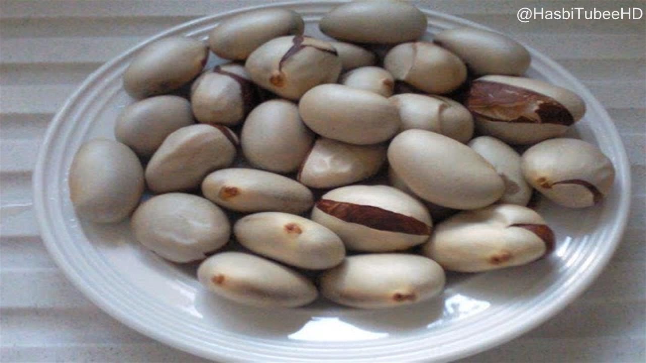 Detail Gambar Biji Nangka Nomer 14