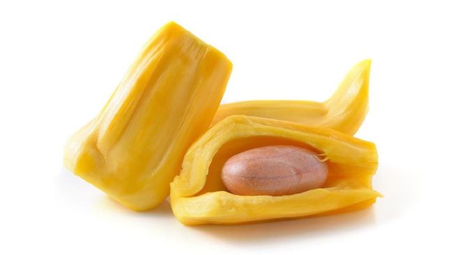 Detail Gambar Biji Nangka Nomer 18