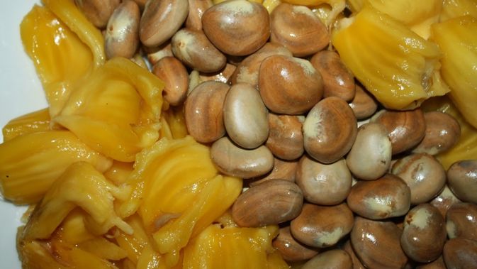 Detail Gambar Biji Nangka Nomer 19