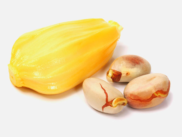 Detail Gambar Biji Nangka Nomer 24