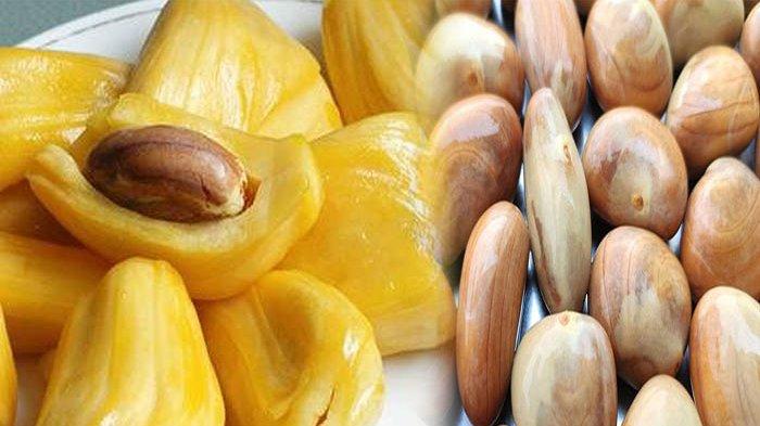 Detail Gambar Biji Nangka Nomer 25