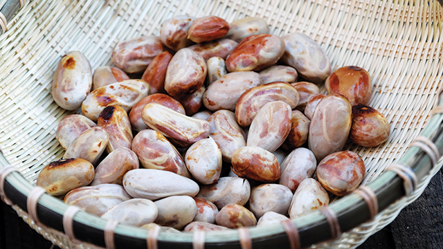 Detail Gambar Biji Nangka Nomer 27