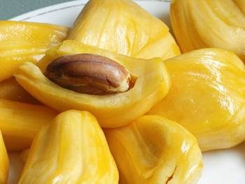Detail Gambar Biji Nangka Nomer 29