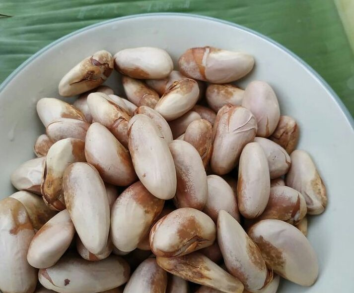 Detail Gambar Biji Nangka Nomer 4