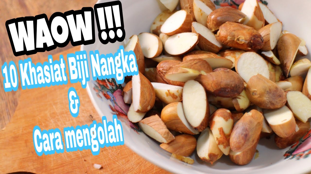 Detail Gambar Biji Nangka Nomer 30