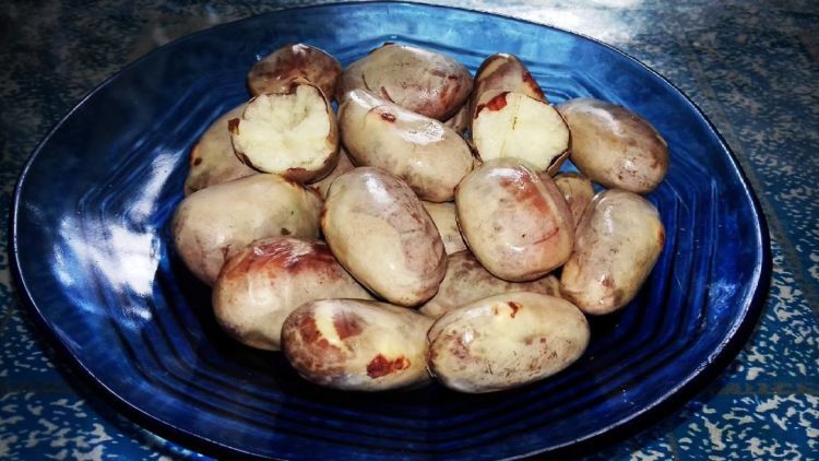 Detail Gambar Biji Nangka Nomer 34