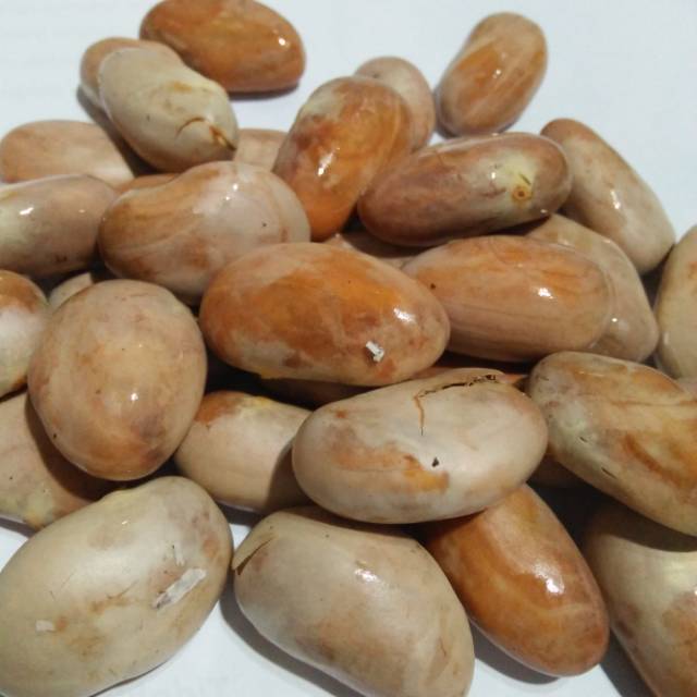 Detail Gambar Biji Nangka Nomer 35