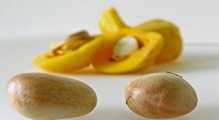 Detail Gambar Biji Nangka Nomer 40