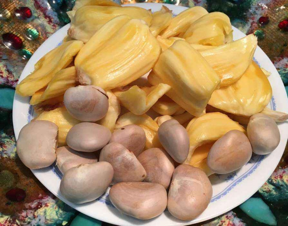 Detail Gambar Biji Nangka Nomer 6