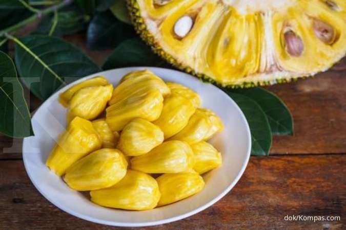 Detail Gambar Biji Nangka Nomer 47