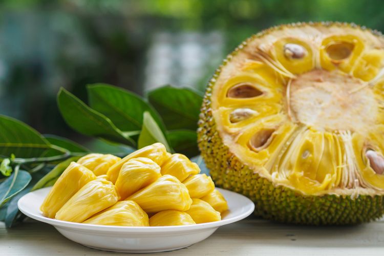 Detail Gambar Biji Nangka Nomer 52