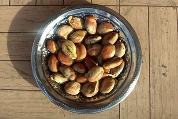Detail Gambar Biji Nangka Nomer 55
