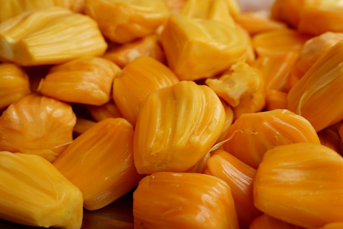 Detail Gambar Biji Nangka Nomer 56