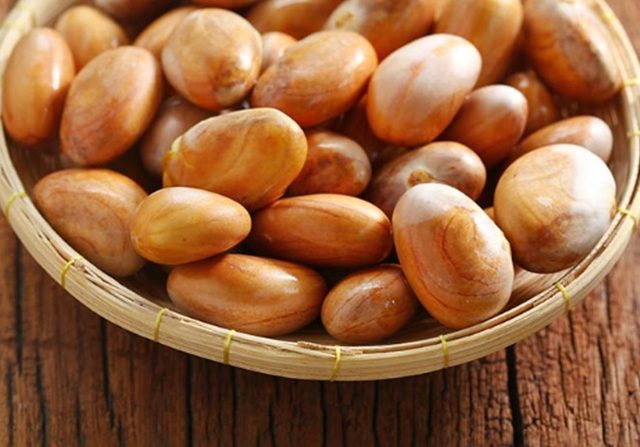 Detail Gambar Biji Nangka Nomer 9