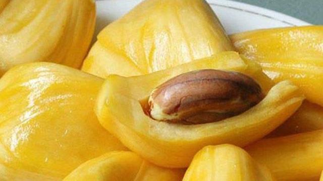 Detail Gambar Biji Nangka Nomer 10