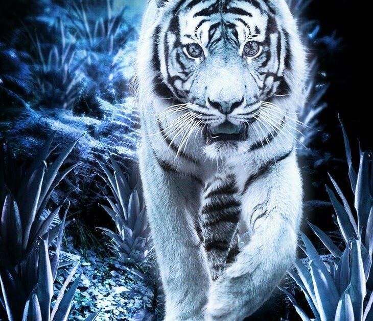 Detail Gambar Binatang 3d Wallpaper Harimau 3d Nomer 5