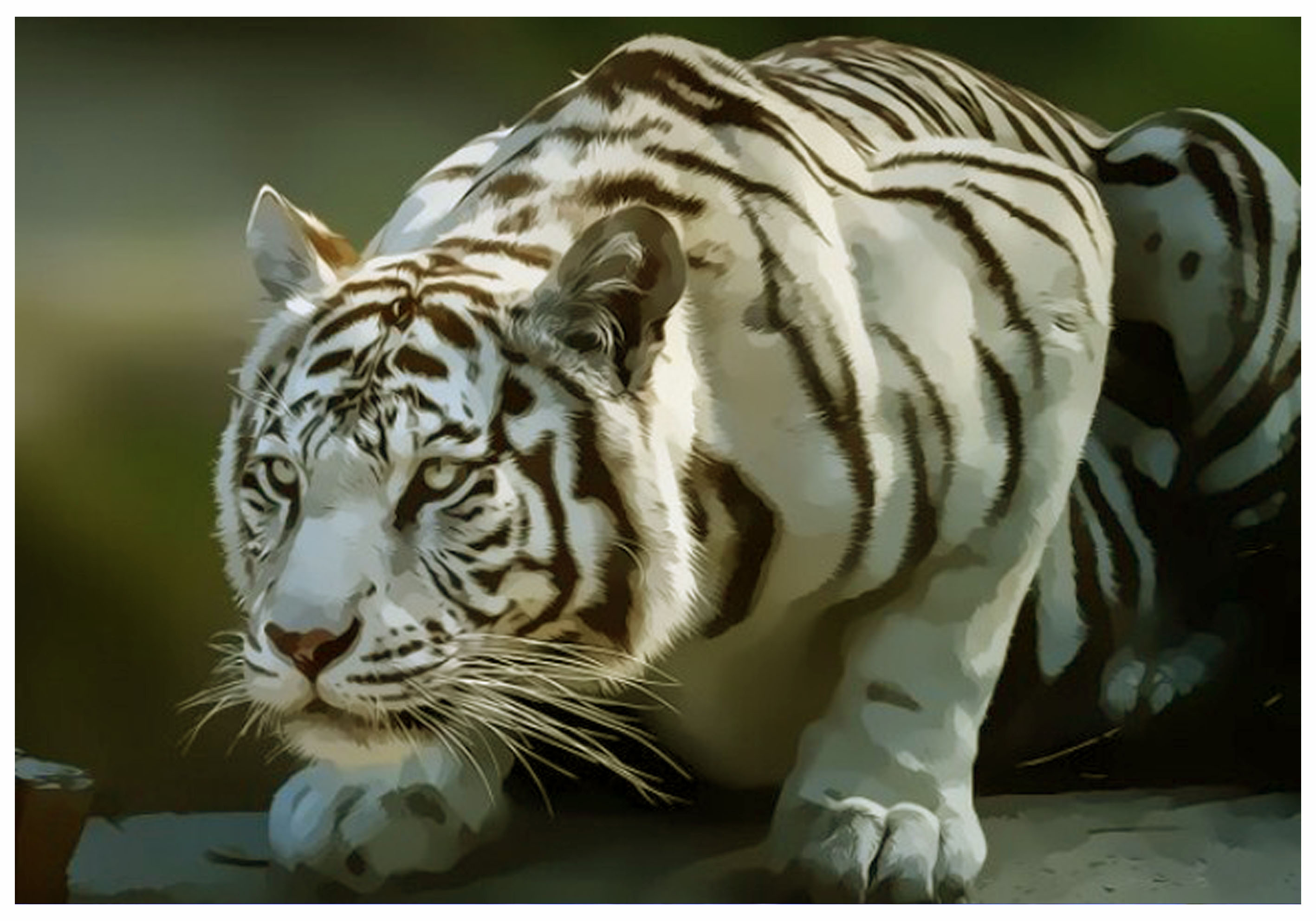 Detail Gambar Binatang 3d Wallpaper Harimau 3d Nomer 43