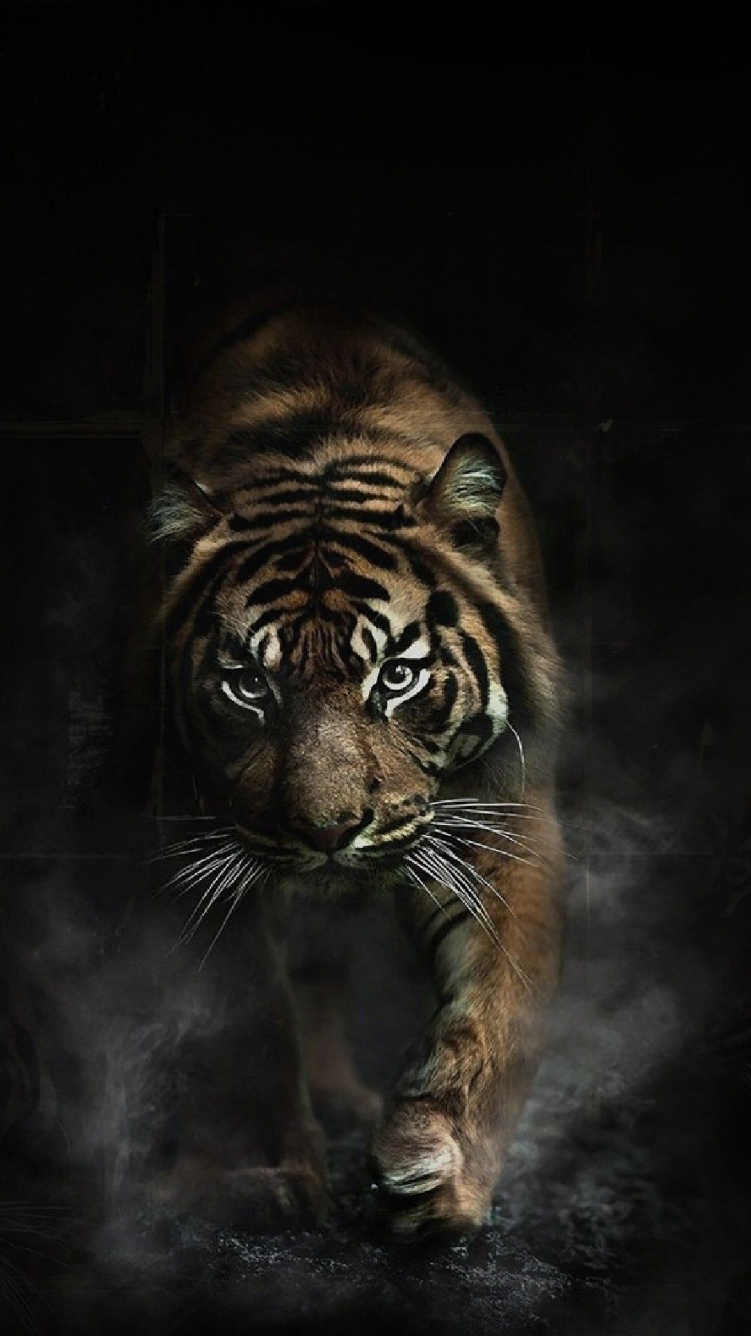 Detail Gambar Binatang 3d Wallpaper Harimau 3d Nomer 6
