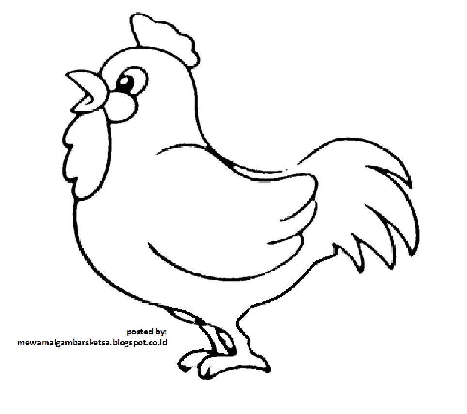 Detail Gambar Binatang Ayam Nomer 9