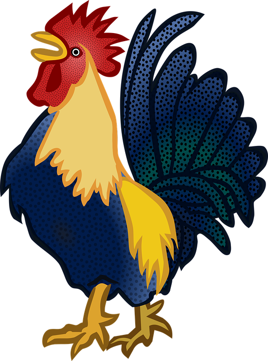 Detail Gambar Binatang Ayam Nomer 10
