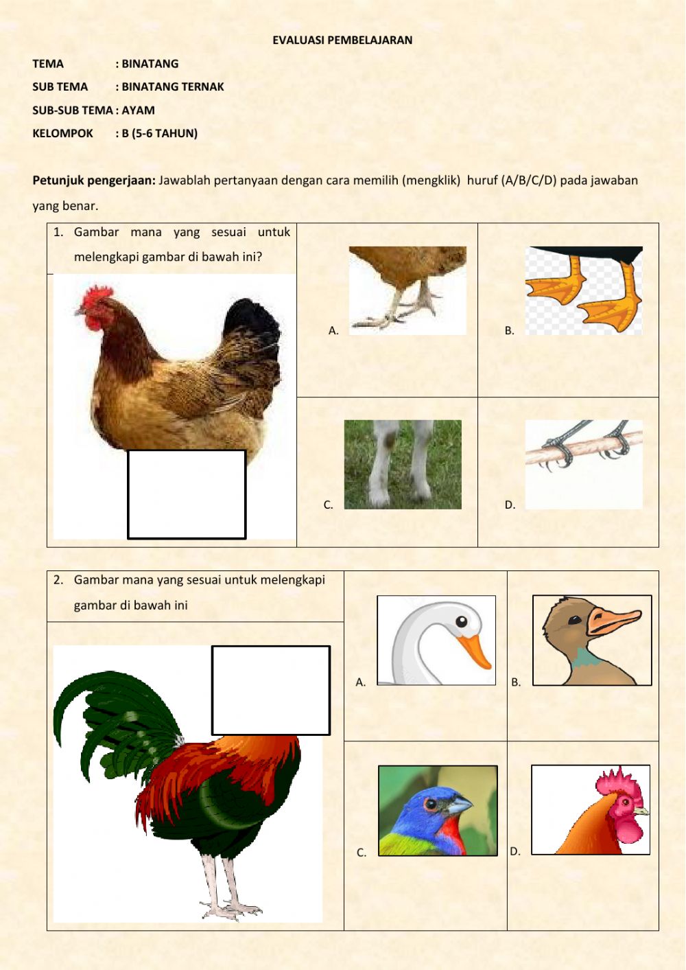 Detail Gambar Binatang Ayam Nomer 28