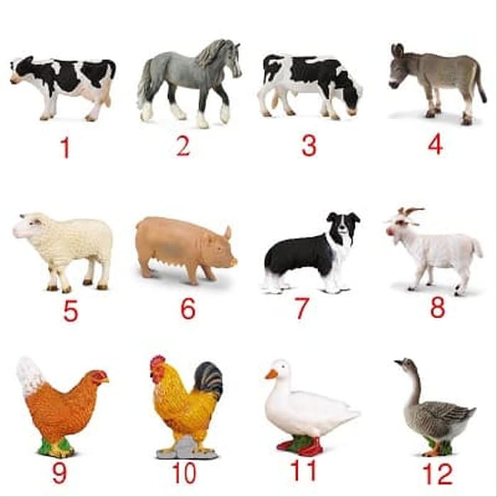 Detail Gambar Binatang Ayam Nomer 36